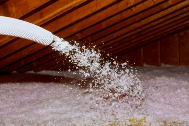 Best Insulation Contractor Near Me  in Ben Avon, PA