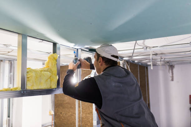Best Cellulose Insulation  in Ben Avon, PA