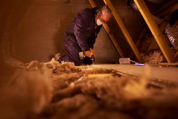 Best Insulation Replacement Services  in Ben Avon, PA
